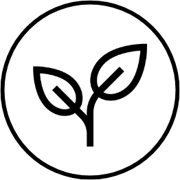 Agrícola Cruz